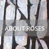 ABOUT ROSES
